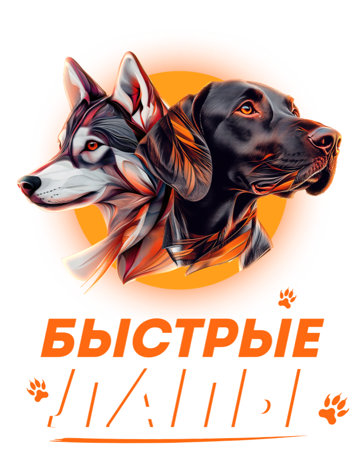 Быстрые лапы